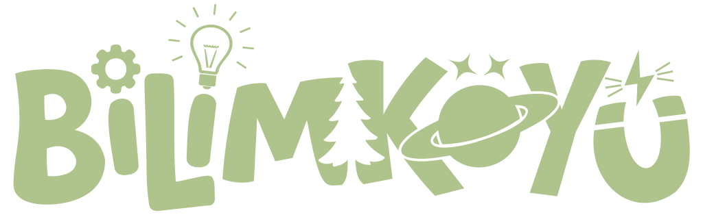 2-Logo(BilimKöyü)